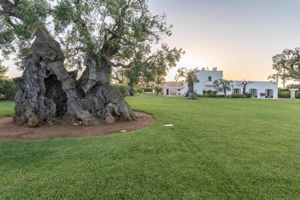 Masseria Il Frantoio By Raro Villas Ostuni Exterior foto